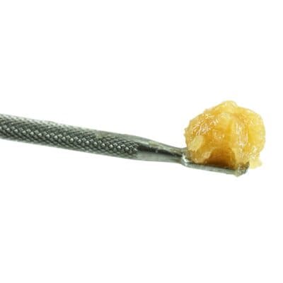 Photorealistic close-up of golden cannabis concentrate on a metal dab tool against a crisp white background.