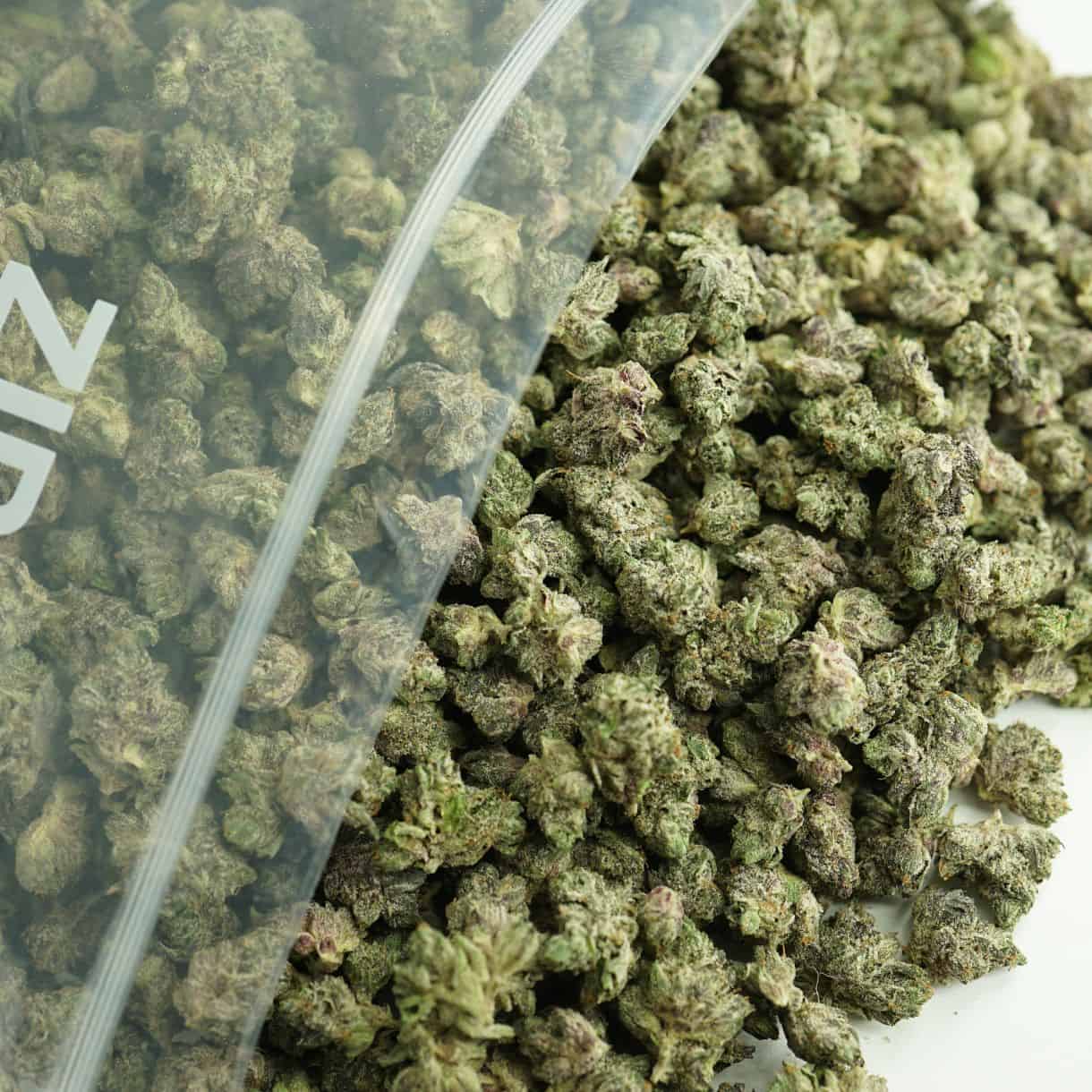 Close-up image of cannabis buds spilling out of a clear ZIP-ZAG plastic bag onto a white surface, showing dense green nugs with visible trichomes and orange hairs.
