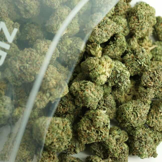 Close-up image of cannabis buds spilling out of a clear ZIP-ZAG plastic bag onto a white surface, showing dense green nugs with visible trichomes and orange hairs.