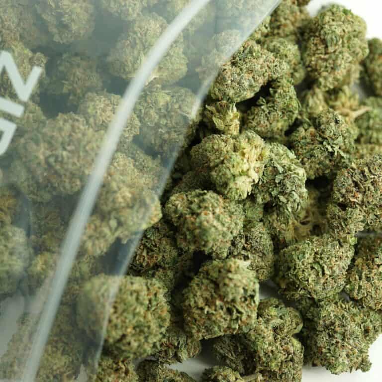 Close-up image of cannabis buds spilling out of a clear ZIP-ZAG plastic bag onto a white surface, showing dense green nugs with visible trichomes and orange hairs.