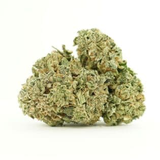 Close-up of a dried cannabis flower with dense green buds and visible orange pistils on a white background