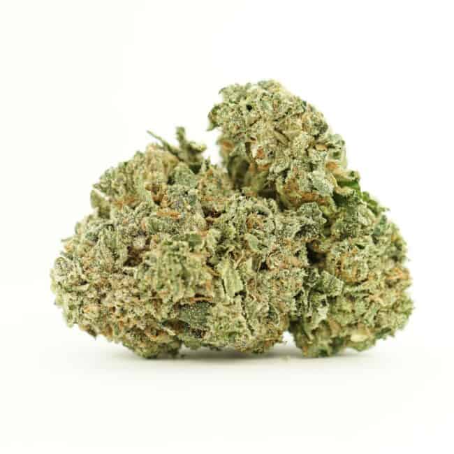 Close-up of a dried cannabis flower with dense green buds and visible orange pistils on a white background