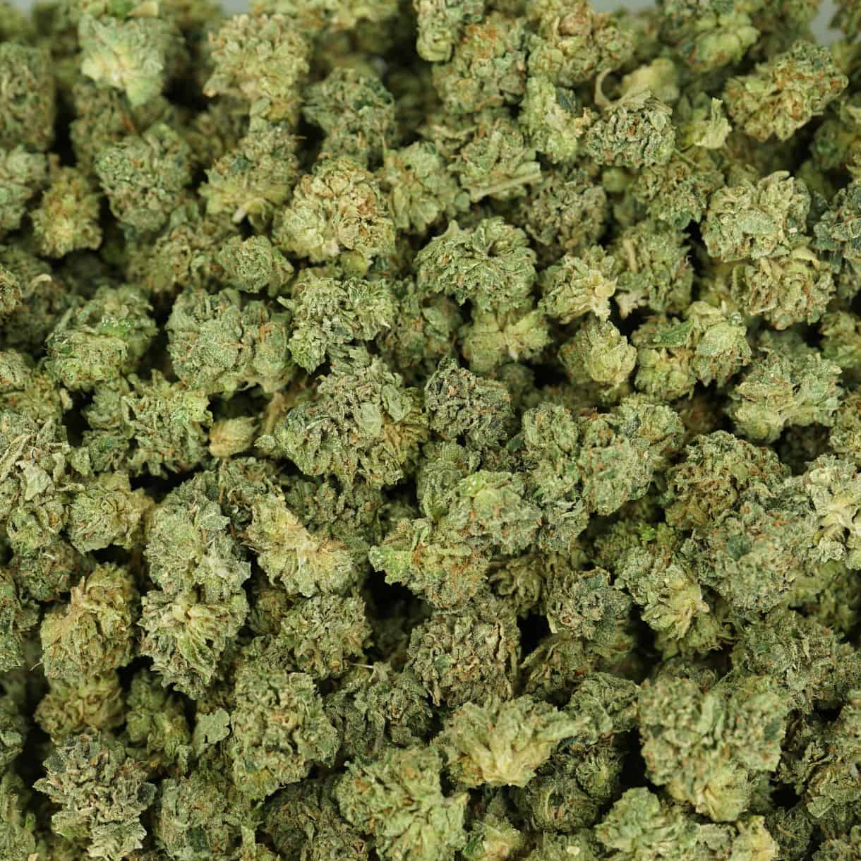 28gr - AFGHAN KUSH (SMALLS) - INDICA - (AA) - Image 3