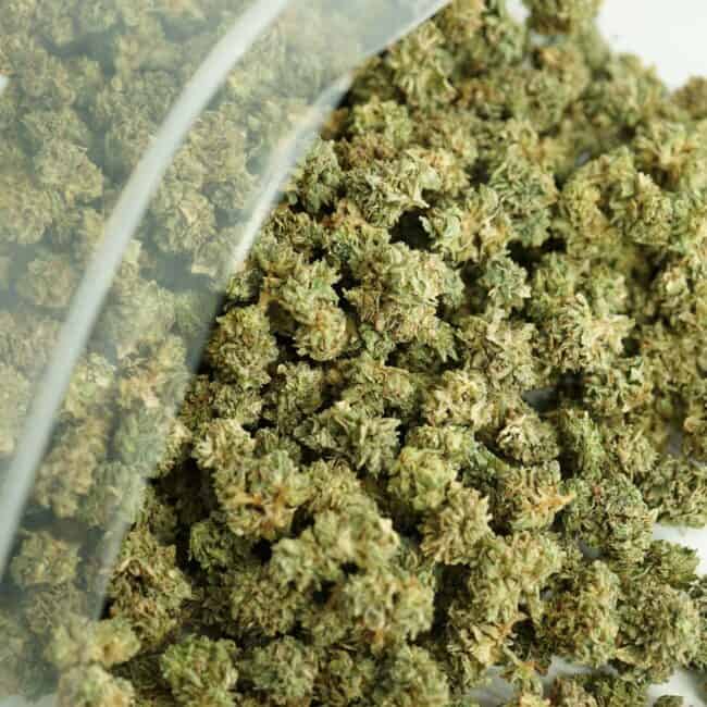 Close-up image of cannabis buds spilling out of a clear ZIP-ZAG plastic bag onto a white surface, showing dense green nugs with visible trichomes and orange hairs.