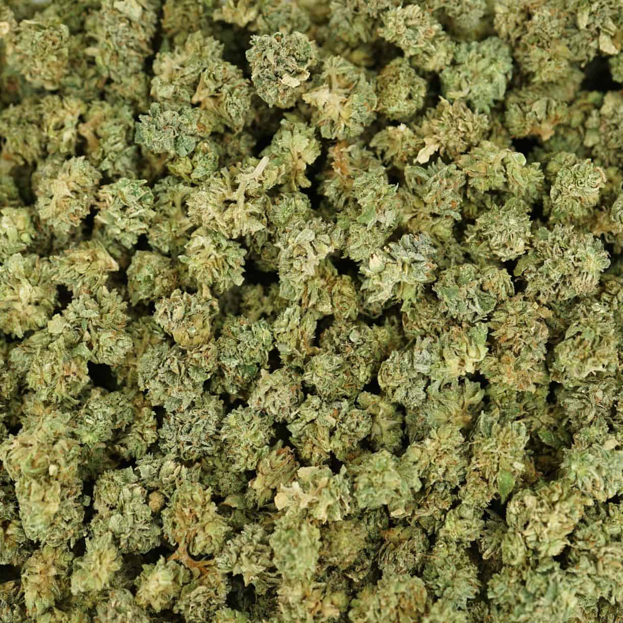 28gr - AFGHAN KUSH (MICROS) - INDICA - (AA) - Image 3