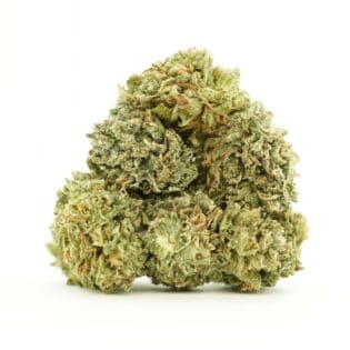 Close-up image of cannabis buds with frosty trichomes on a crisp white background