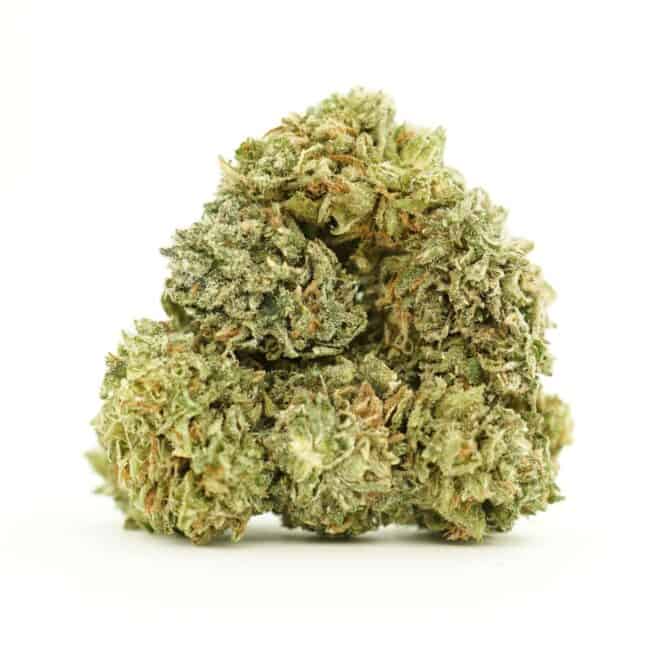 Close-up image of cannabis buds with frosty trichomes on a crisp white background