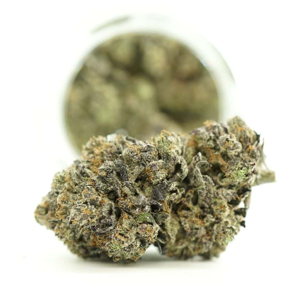 ASTRO PINK close-up image of cannabis bud with frosty trichomes on a crisp white background