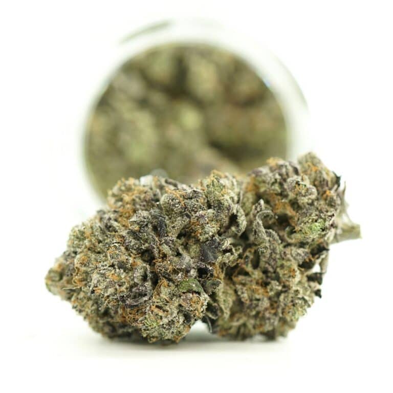 ASTRO PINK close-up image of cannabis bud with frosty trichomes on a crisp white background