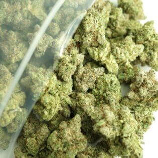 Close-up image of cannabis buds spilling out of a clear ZIP-ZAG plastic bag onto a white surface, showing dense green nugs with visible trichomes and orange hairs.