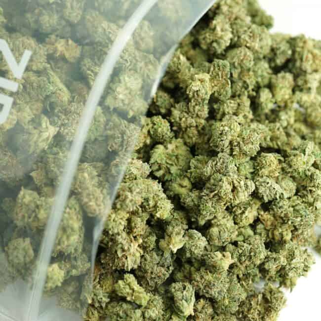 Close-up image of cannabis buds spilling out of a clear ZIP-ZAG plastic bag onto a white surface, showing dense green nugs with visible trichomes and orange hairs.