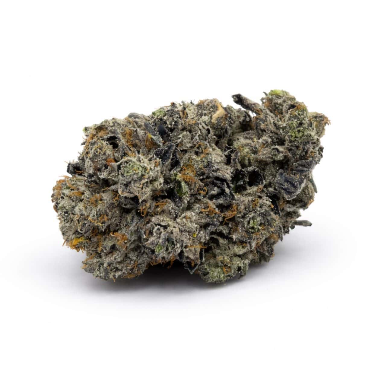 7gr - ASTRO PINK - INDICA - (AAAA) - Image 3
