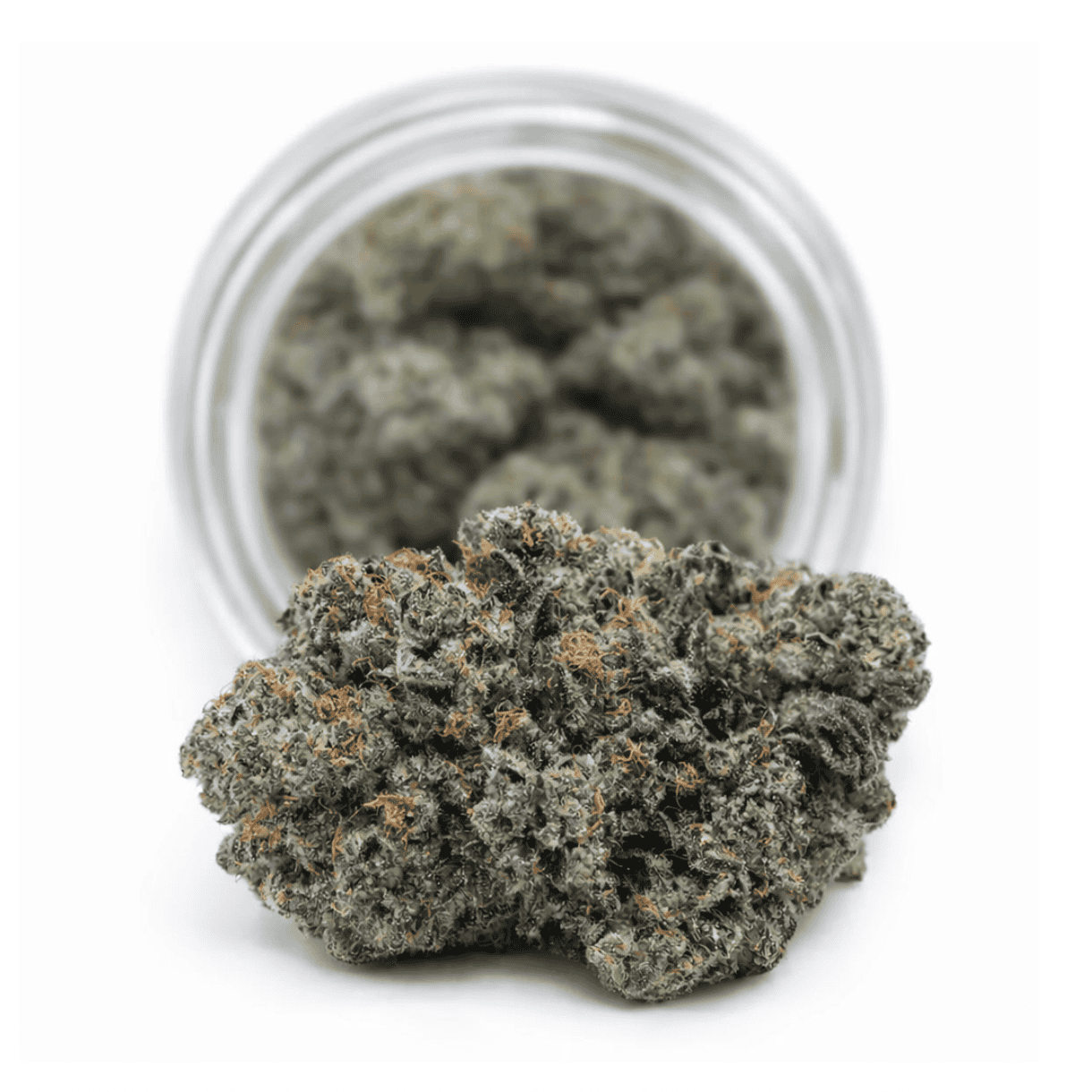 Dense cannabis flower with frosty trichomes in foreground, glass jar softly blurred on a crisp white background