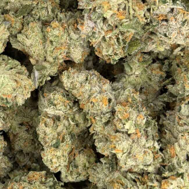 pp banana kush 2