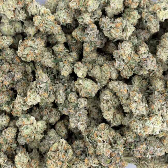 pp banana kush full