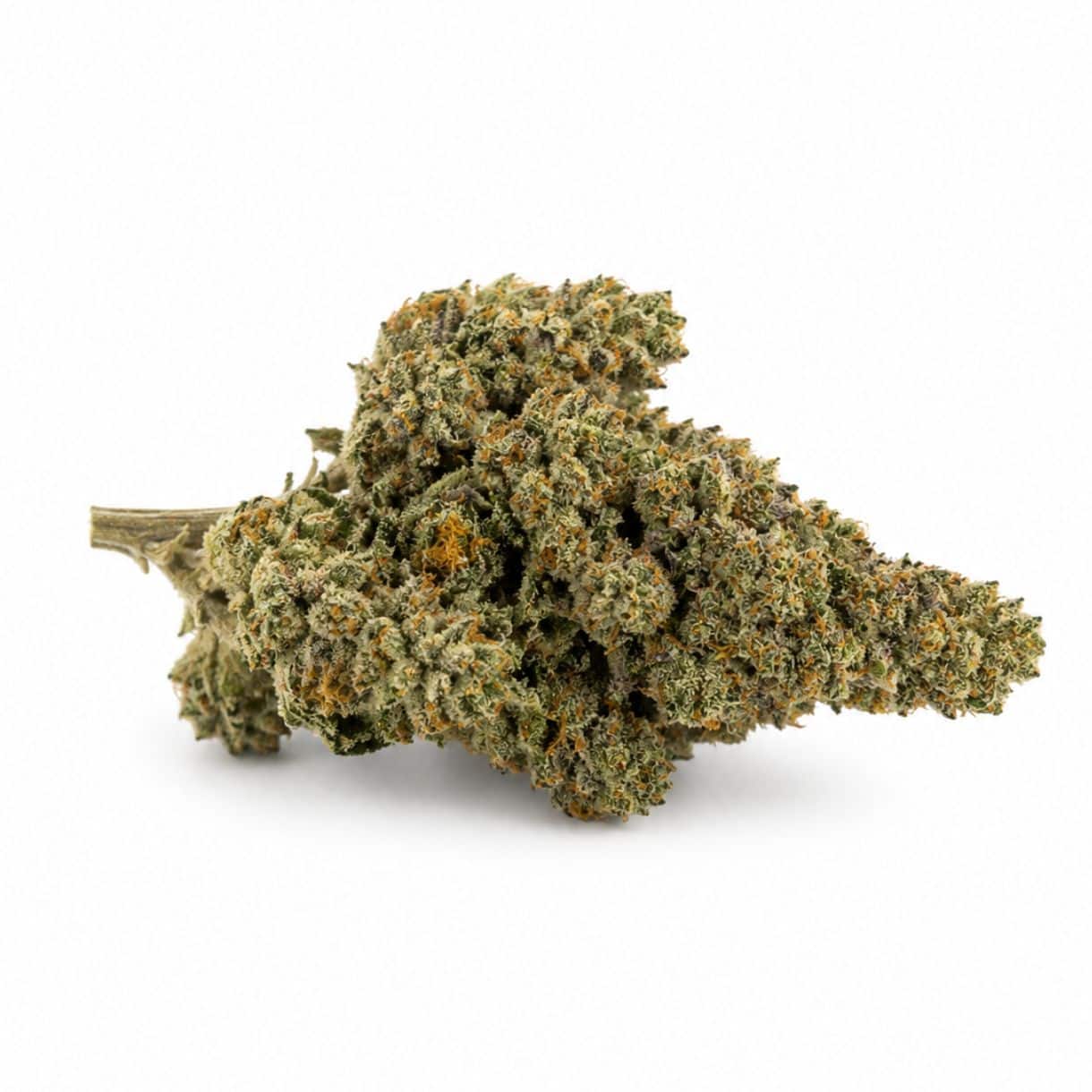 Image d'un bourgeon de cannabis recouvert de trichomes givrés sur un fond blanc immaculé
