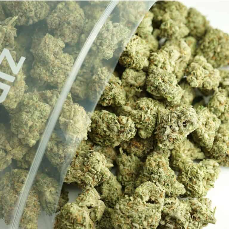 Close-up image of cannabis buds spilling out of a clear ZIP-ZAG plastic bag onto a white surface, showing dense green nugs with visible trichomes and orange hairs.