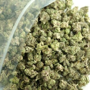 Close-up image of cannabis buds spilling out of a clear ZIP-ZAG plastic bag onto a white surface, showing dense green nugs with visible trichomes and orange hairs.