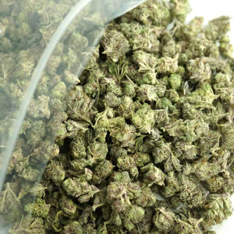 Close-up image of cannabis buds spilling out of a clear ZIP-ZAG plastic bag onto a white surface, showing dense green nugs with visible trichomes and orange hairs.