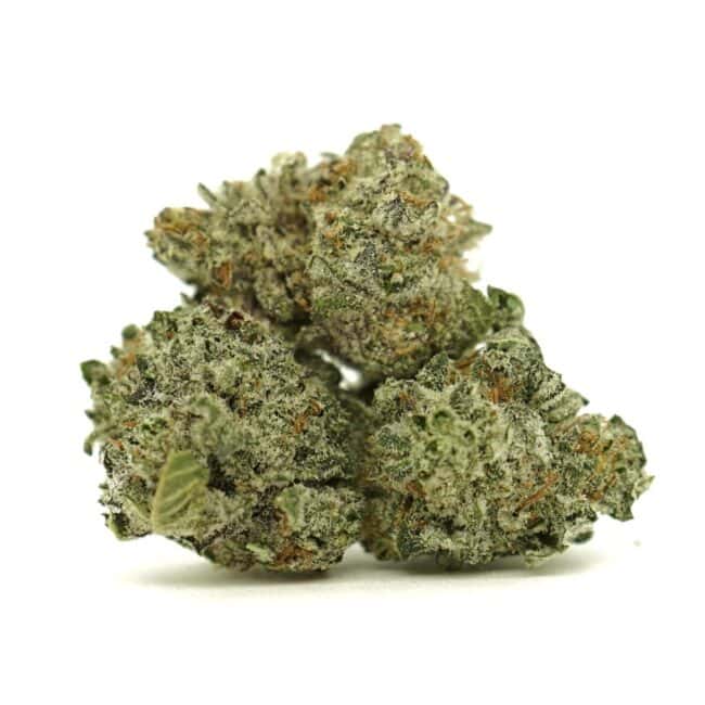 Close-up image of cannabis buds with frosty trichomes on a crisp white background