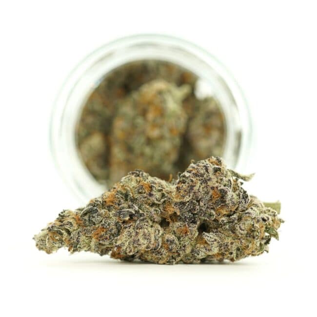 Dense cannabis flower with frosty trichomes in foreground, glass jar softly blurred on a crisp white background