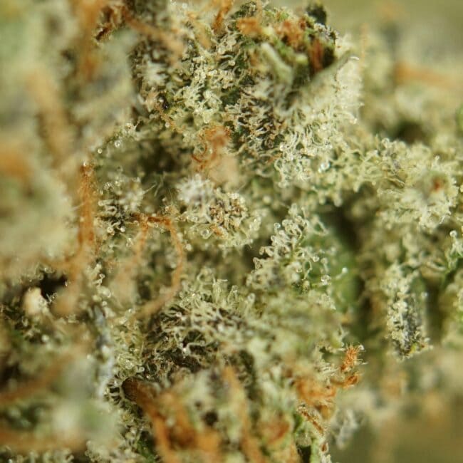 pp bubba kush 2