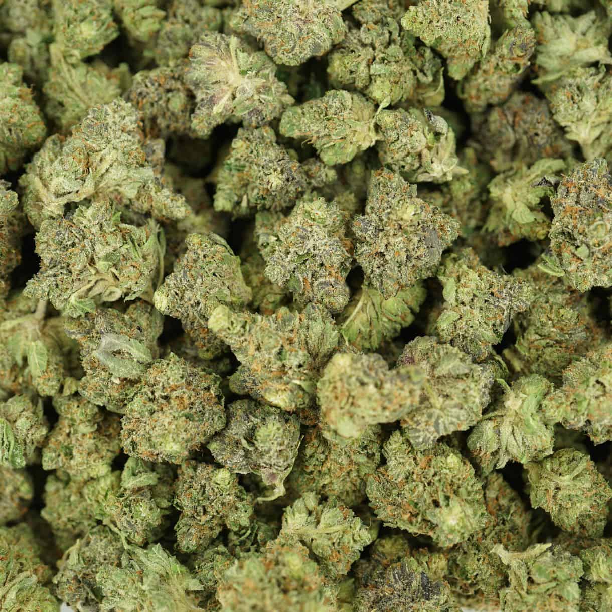 bubba kush top view of cannabis buds with dense structure, frosty trichomes, and light green coloration