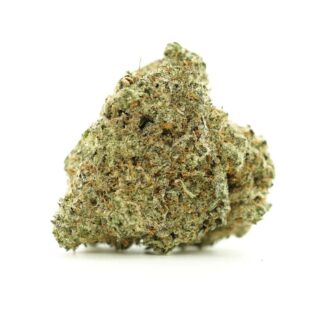 Close-up image of cannabis bud with frosty trichomes on a crisp white background