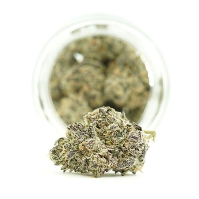Dense cannabis flower with frosty trichomes in foreground, glass jar softly blurred on a crisp white background