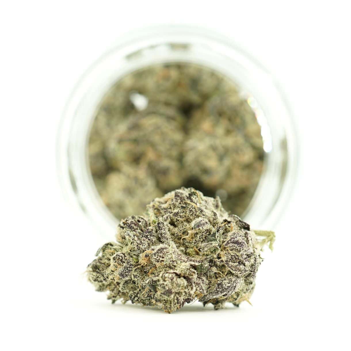 Dense cannabis flower with frosty trichomes in foreground, glass jar softly blurred on a crisp white background