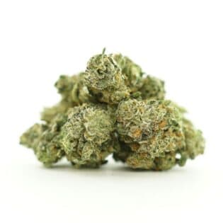 frosted gelato strain buds