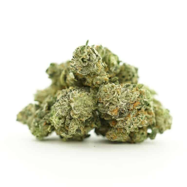 frosted gelato strain buds