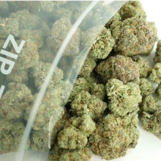 Close-up image of cannabis buds spilling out of a clear ZIP-ZAG plastic bag onto a white surface, showing dense green nugs with visible trichomes and orange hairs.