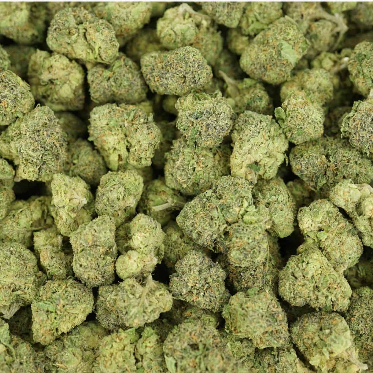 28gr - JOKER JUICE - BALANCED HYBRID - (AAA) - Image 3