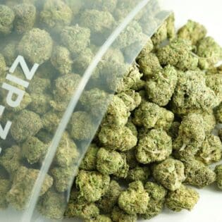 Close-up image of cannabis buds spilling out of a clear ZIP-ZAG plastic bag onto a white surface, showing dense green nugs with visible trichomes and orange hairs.