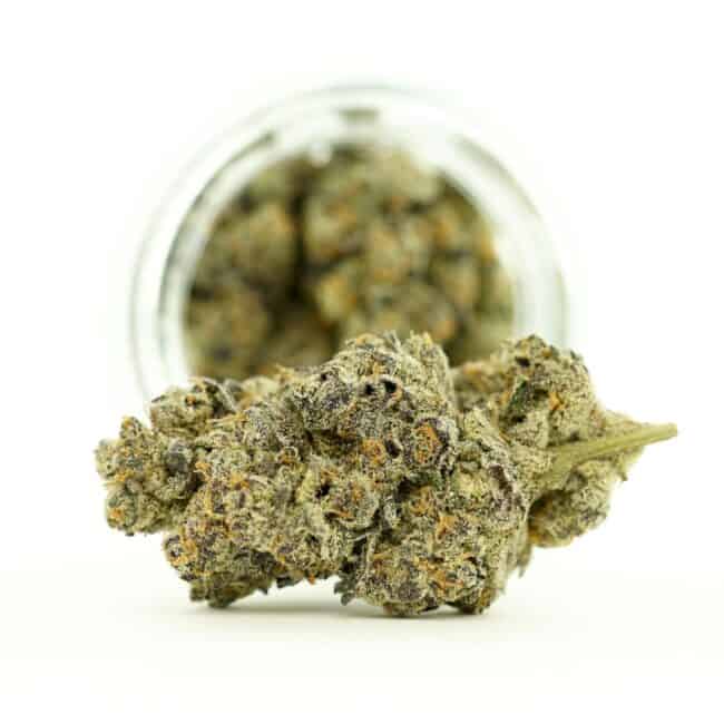Dense cannabis flower with frosty trichomes in foreground, glass jar softly blurred on a crisp white background