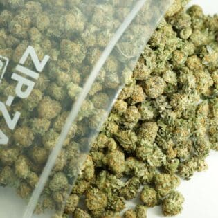 Close-up image of cannabis buds spilling out of a clear ZIP-ZAG plastic bag onto a white surface, showing dense green nugs with visible trichomes and orange hairs.