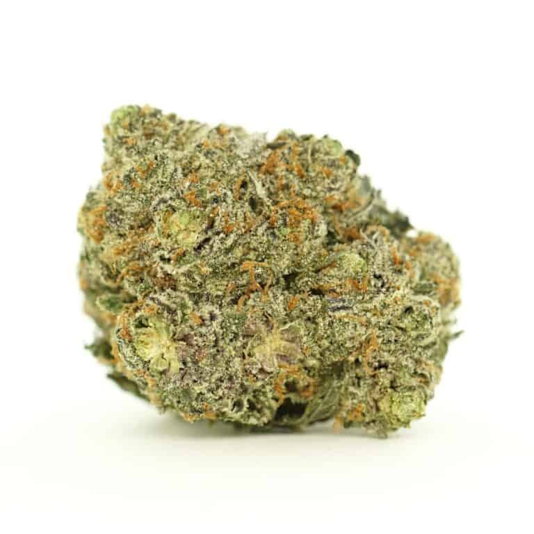 Close-up of a dense cannabis flower with light green buds, orange pistils, and visible trichome coverage on a white background.