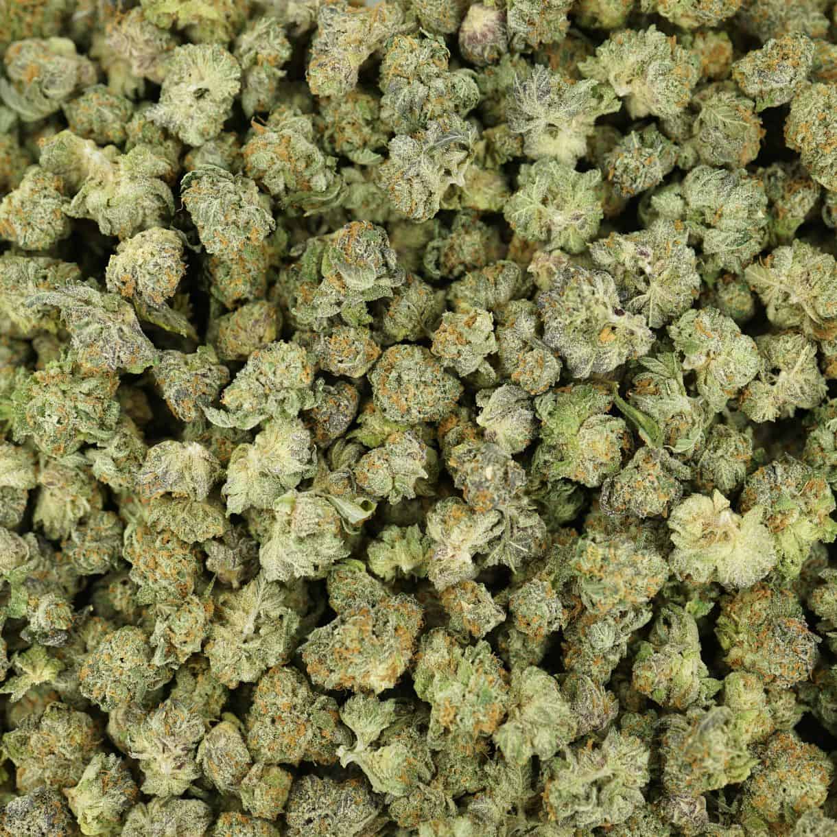 28gr - PURPLE MONKEY (SMALLS) - INDICA - (AAA) - Image 3