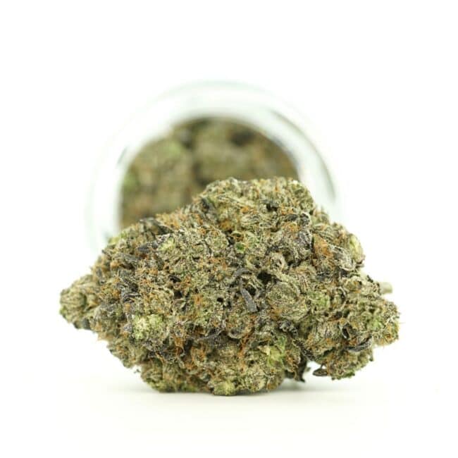 Dense cannabis flower with frosty trichomes in foreground, glass jar softly blurred on a crisp white background