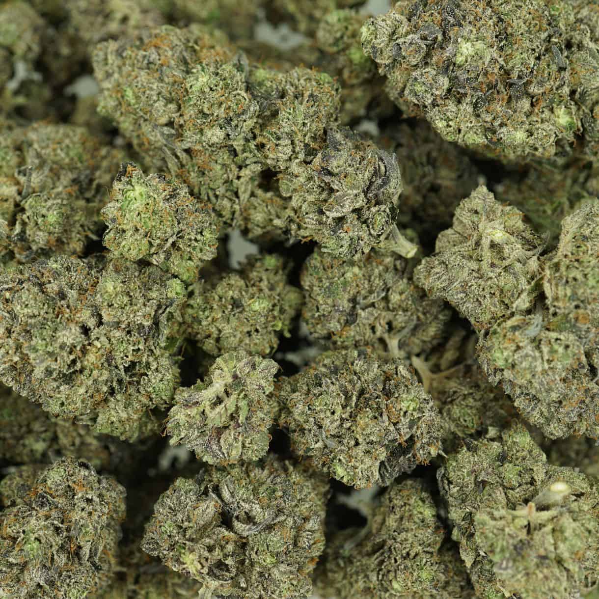 7gr - PURPLE CHURRO - INDICA - (AAAA) - Image 3