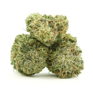 Dense cannabis flowers with frosty trichomes on a crisp white background