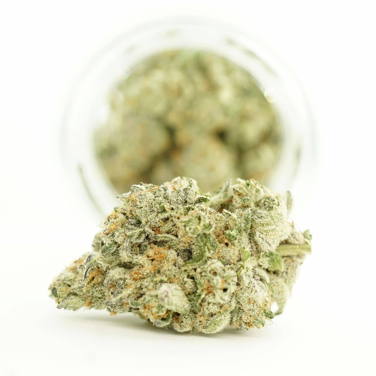 7gr - SECRET COOKIES - BALANCED HYBRID - (AAAA)