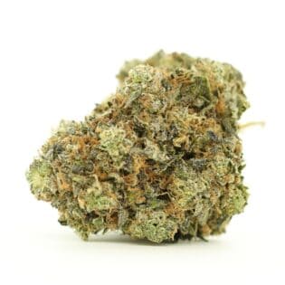 Close-up image of cannabis bud with frosty trichomes on a crisp white background