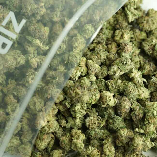 Close-up image of cannabis buds spilling out of a clear ZIP-ZAG plastic bag onto a white surface, showing dense green nugs with visible trichomes and orange hairs.