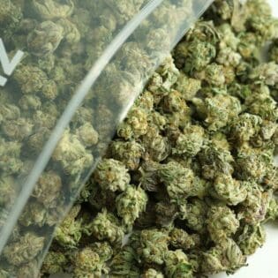 Close-up image of cannabis buds spilling out of a clear ZIP-ZAG plastic bag onto a white surface, showing dense green nugs with visible trichomes and orange hairs.