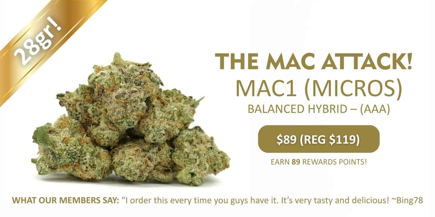 Promotional banner for “The Mac Attack” MAC1 micros, a balanced hybrid cannabis flower, featuring green buds and pricing information for members.