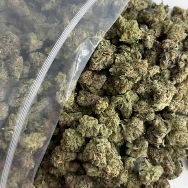 Gros plan sur des têtes de cannabis débordant d'un sachet en plastique transparent de marque ZIP-ZAG sur une surface blanche, montrant des têtes vertes denses avec des trichomes visibles et des poils orange.