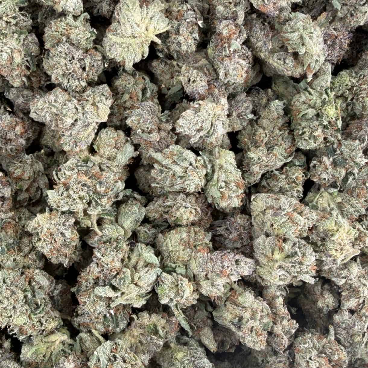 28gr - ISLAND PINK KUSH SMALLS - INDICA - (AAA) - Image 3