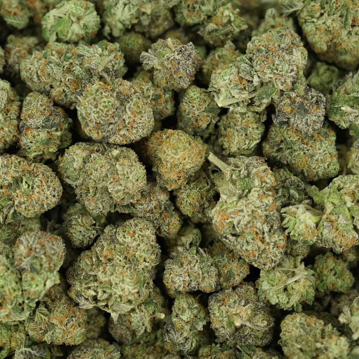 28gr - CADILLAC RAINBOWS - BALANCED HYBRID - (AAA) - Image 3